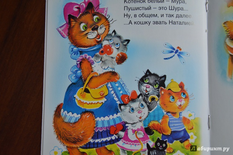 Иллюстрация 18 из 18 для Кот на крыше - Олег Тихомиров | Лабиринт - книги. Источник: Никулина  Евгения Евгеньевна