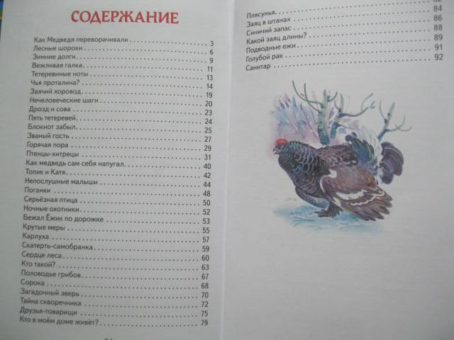 Иллюстрация 10 из 46 для Лесные сказки - Николай Сладков | Лабиринт - книги. Источник: NINANI