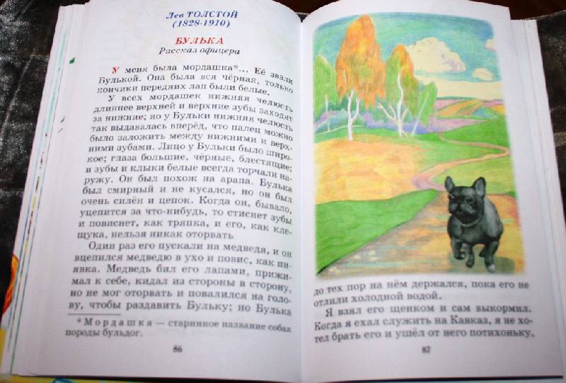 Иллюстрация 13 из 18 для Внеклассное чтение. 1 класс - Пушкин, Даль, Тургенев | Лабиринт - книги. Источник: Aleni