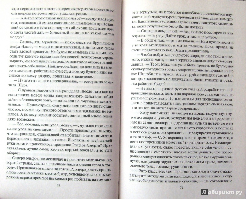 Иллюстрация 19 из 21 для Новые эльфы 4. Избранный путь - Владимир Мясоедов | Лабиринт - книги. Источник: Соловьев  Владимир