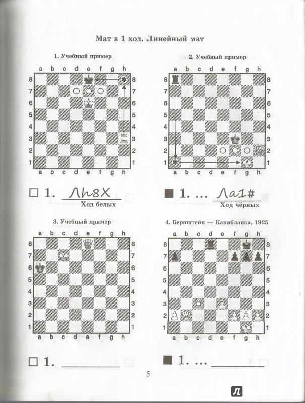 Иллюстрация 8 из 11 для Шахматный решебник. Мат королю - Всеволод Костров | Лабиринт - книги. Источник: ellei81