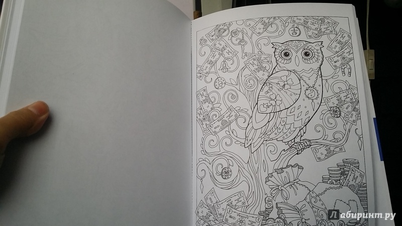 Иллюстрация 29 из 45 для Совушки - Marjorie Sarnat | Лабиринт - книги. Источник: Машкова Анна