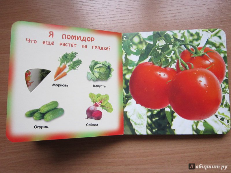 Иллюстрация 6 из 12 для Овощи и фрукты - Анна Прищеп | Лабиринт - книги. Источник: Кулыгина  Елена