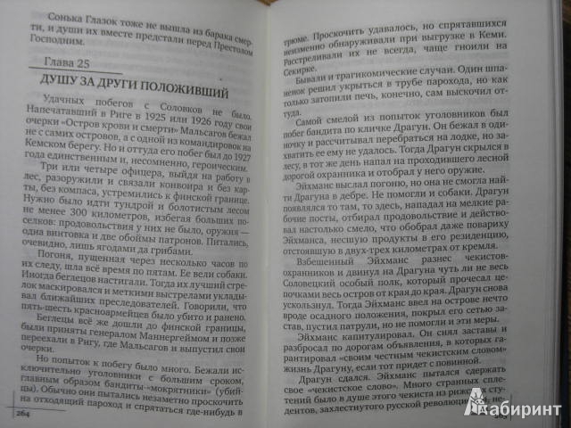 Иллюстрация 6 из 24 для Неугасимая лампада - Борис Ширяев | Лабиринт - книги. Источник: kolobus