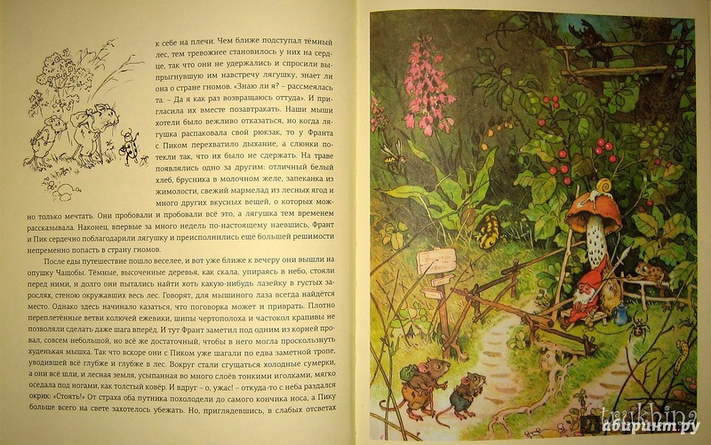 Иллюстрация 44 из 78 для В стране гномов - Эрих Хайнеманн | Лабиринт - книги. Источник: Трухина Ирина