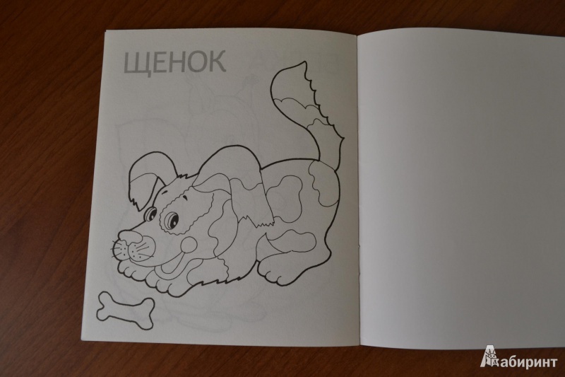 Иллюстрация 13 из 25 для Щенок | Лабиринт - книги. Источник: juli_pani