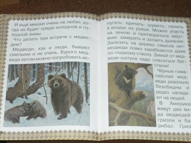 Иллюстрация 18 из 41 для Косолапые истории. Все о медведях - Екатерина Малинина | Лабиринт - книги. Источник: Ромашка:-)