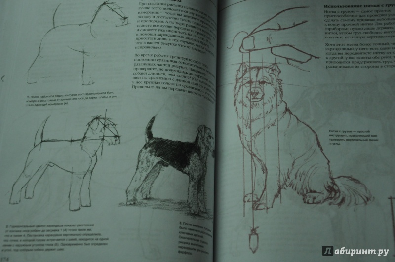 Иллюстрация 8 из 44 для Художественная школа | Лабиринт - книги. Источник: Аблакотова  Надежда