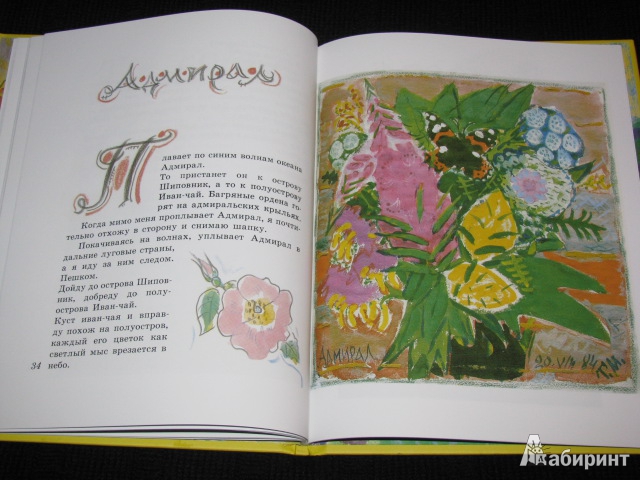 Иллюстрация 53 из 73 для Бабочки - Юрий Коваль | Лабиринт - книги. Источник: Nemertona