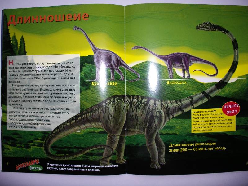 Иллюстрация 1 из 4 для Динозавры. Книжка со светящимися наклейками | Лабиринт - книги. Источник: Tiger.