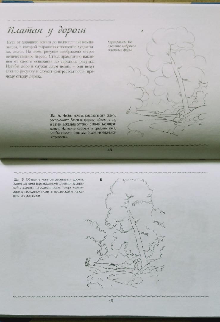 Иллюстрация 13 из 32 для Рисуем мир вокруг нас | Лабиринт - книги. Источник: Надёжа