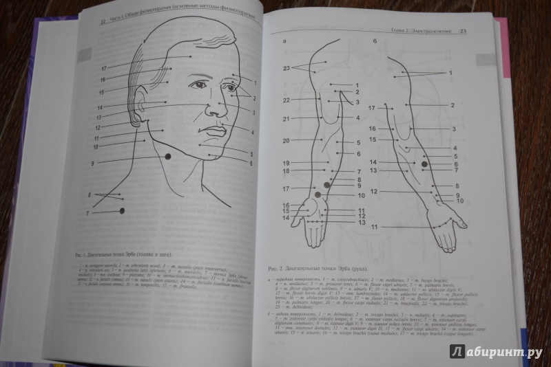 Иллюстрация 4 из 58 для Физиотерапия в неврологии - Гурленя, Багель, Смычек | Лабиринт - книги. Источник: ВраЧиталла