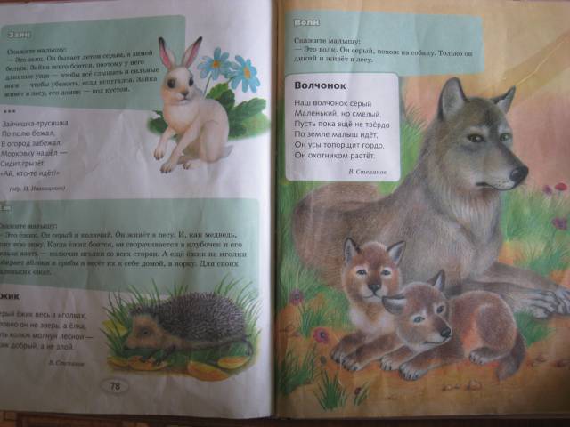 Иллюстрация 15 из 16 для Я учусь. Занятия с малышом от 6 месяцев и старше | Лабиринт - книги. Источник: Korshunova