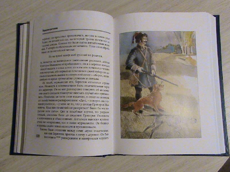 Иллюстрация 8 из 28 для Капитанская дочка - Александр Пушкин | Лабиринт - книги. Источник: Обычная москвичка