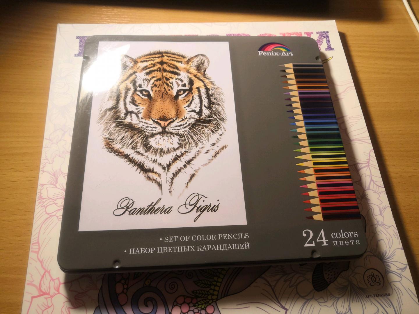 Иллюстрация 40 из 63 для Карандаши цветные "Тигр" (24 цвета, металлическая коробка) (32871) | Лабиринт - канцтовы. Источник: Лабиринт