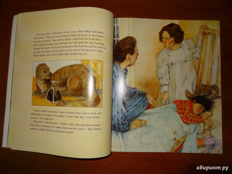 Иллюстрация 8 из 20 для Rikki-Tikki-Tavi - Rudyard Kipling | Лабиринт - книги. Источник: Лабиринт