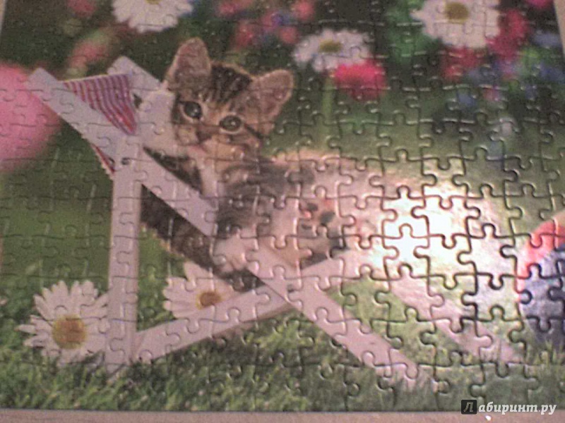 Иллюстрация 7 из 11 для Puzzle "Котята в саду" 2 в 1 (B-021116) | Лабиринт - игрушки. Источник: Роза с шипами