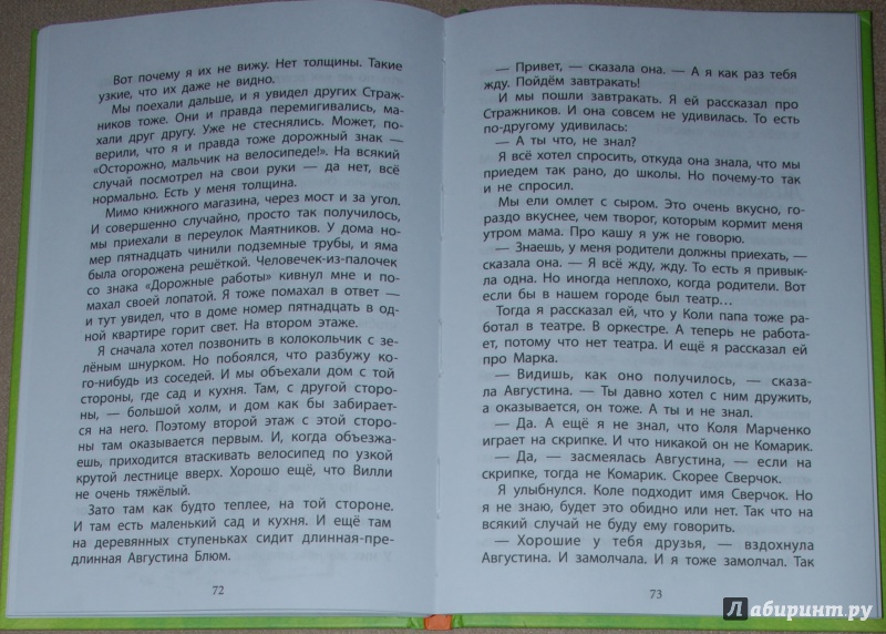 Иллюстрация 41 из 54 для Вилли - Нина Дашевская | Лабиринт - книги. Источник: Книжный кот