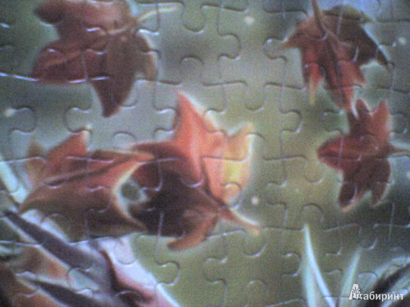 Иллюстрация 11 из 13 для Puzzle-1000 "Фея Осени, Anne Stokes" (10015) | Лабиринт - игрушки. Источник: Роза с шипами