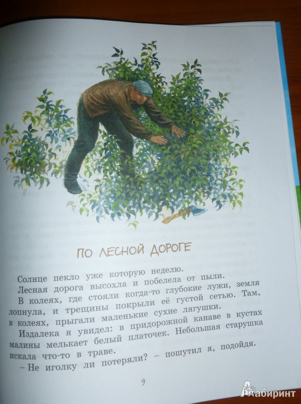 Иллюстрация 34 из 59 для Картофельная собака - Юрий Коваль | Лабиринт - книги. Источник: дева