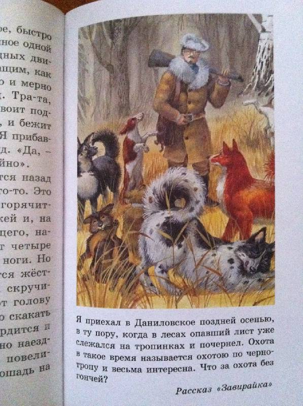 Иллюстрация 25 из 32 для Белый пудель - Александр Куприн | Лабиринт - книги. Источник: Danilovic Julija ----