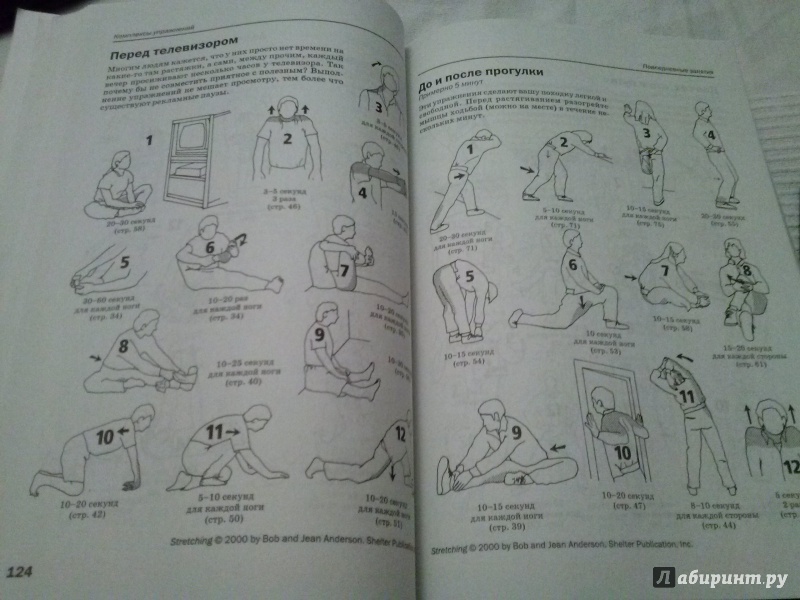 Иллюстрация 15 из 17 для Растяжка для поддержания гибкости мышц и суставов - Боб Андерсон | Лабиринт - книги. Источник: Анна