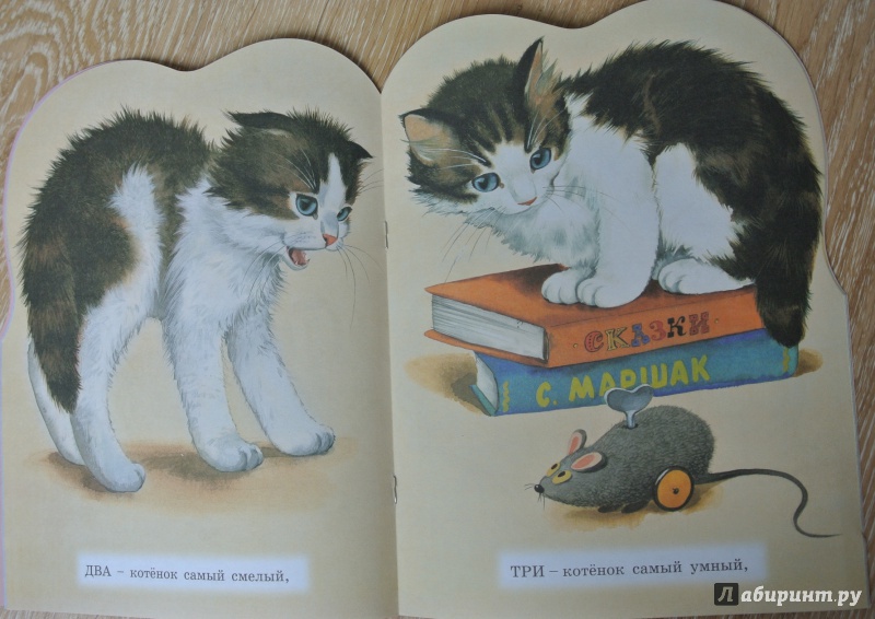 Кот 2 собираем слова. Михалков с. "котята". Иллюстрация к стихотворению Михалкова котята. Раз котенок самый умный.