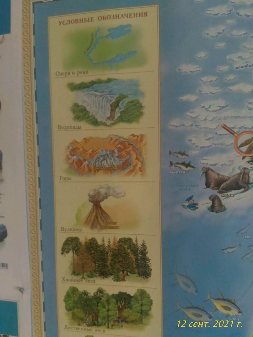 Иллюстрация 27 из 36 для Животный и растительный мир Земли. Детская карта | Лабиринт - книги. Источник: Лабиринт