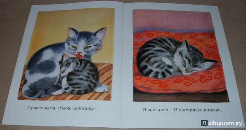 Иллюстрация 11 из 24 для Котёнок - Сергей Михалков | Лабиринт - книги. Источник: Книжный кот