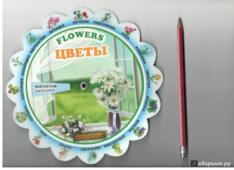 Иллюстрация 12 из 13 для Тематический словарь "Flowers. Цветы" | Лабиринт - книги. Источник: Nanced Lovett