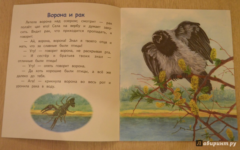 Иллюстрация 10 из 23 для Лиса и гуси - Константин Ушинский | Лабиринт - книги. Источник: QZX