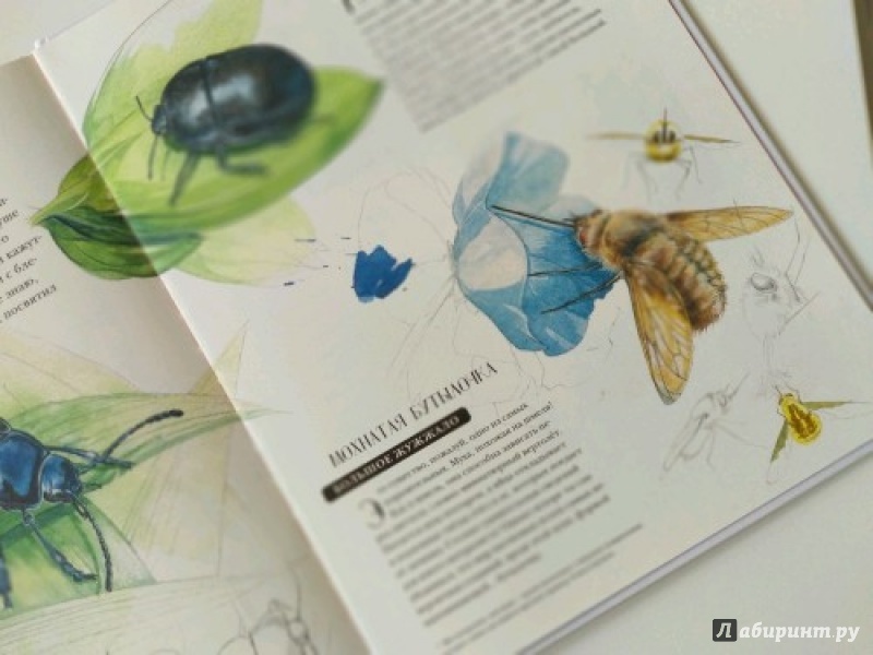 Иллюстрация 37 из 127 для Музей живых насекомых - Франсуа Лассерр | Лабиринт - книги. Источник: Николаева  Елена
