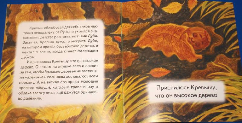 Иллюстрация 34 из 34 для Сказка о маленьком желуде - Полина Орлова | Лабиринт - книги. Источник: М-и-л-е-н-а