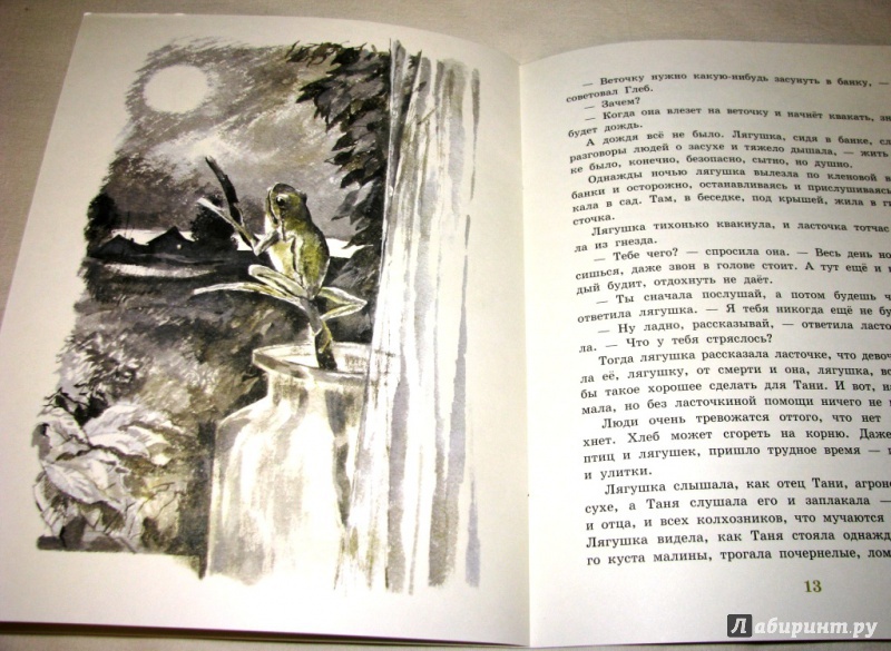 Иллюстрация 28 из 46 для Квакша - Константин Паустовский | Лабиринт - книги. Источник: Бог в помощь