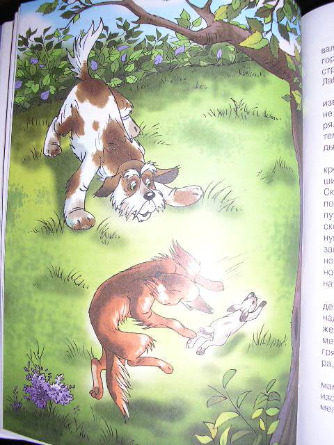Иллюстрация 7 из 17 для Найти белую лошадь - Дик Кинг-Смит | Лабиринт - книги. Источник: Ю-ник