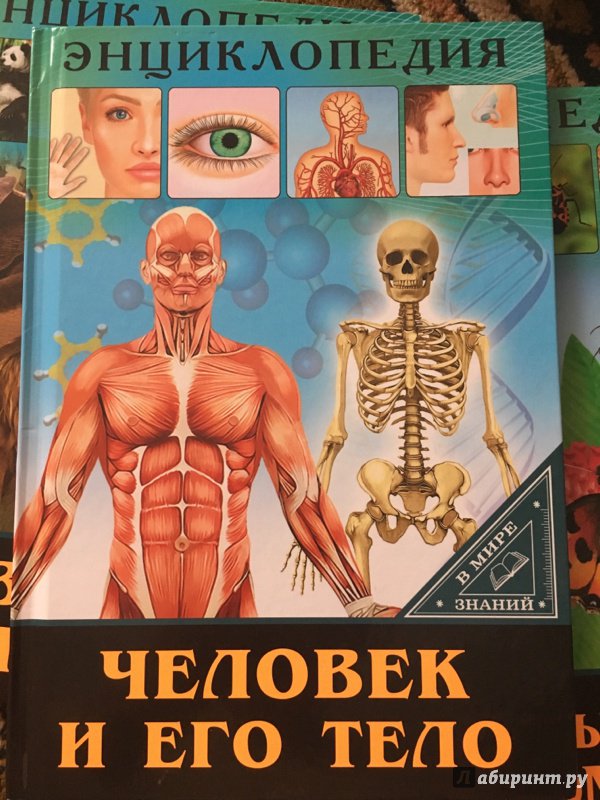 Иллюстрация 2 из 24 для Человек и его тело - Оксана Балуева | Лабиринт - книги. Источник: Узназакова  Карина Рафиковна