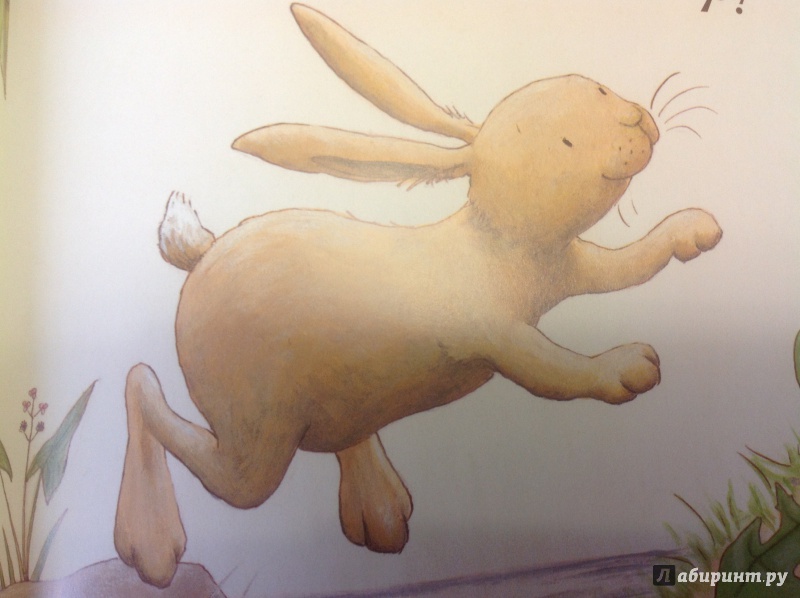 Иллюстрация 7 из 35 для Как Заяц и Черепаха книжку читали - Лейн Марлоу | Лабиринт - книги. Источник: Sage Tea