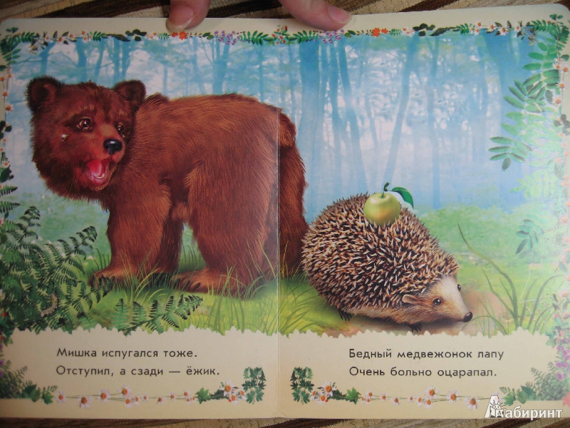 Иллюстрация 4 из 16 для Медвежонок и его друзья - Светлана Зайцева | Лабиринт - книги. Источник: Белкина  Виктория