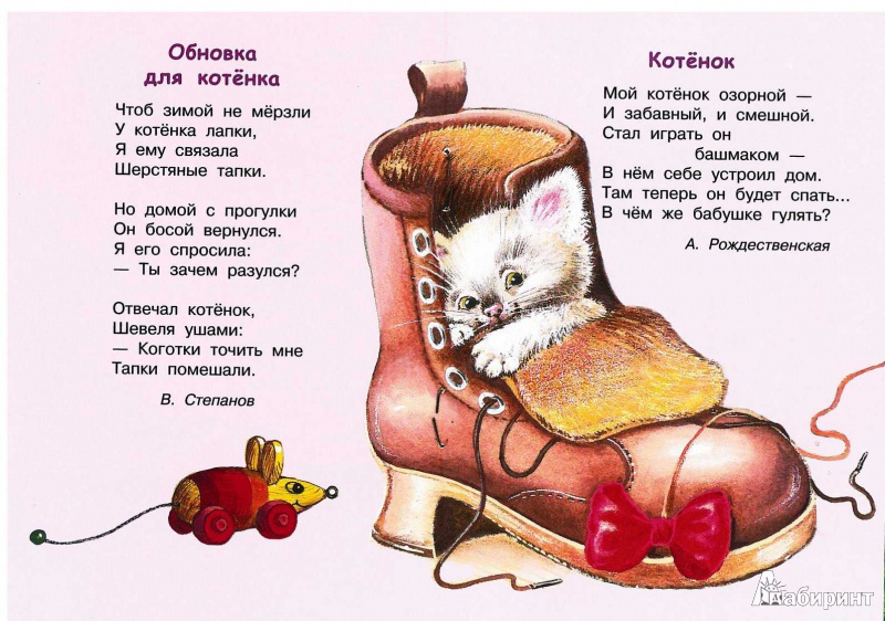 Иллюстрация 16 из 26 для Хочу котенка | Лабиринт - книги. Источник: TNadin