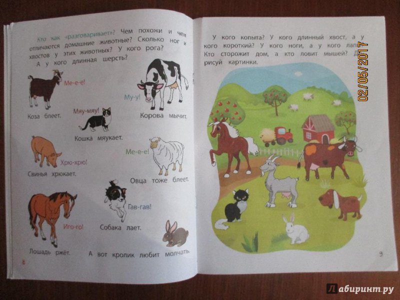 Иллюстрация 5 из 21 для Умный ребенок. Учим животных - Этери Заболотная | Лабиринт - книги. Источник: Марина Епифанцева