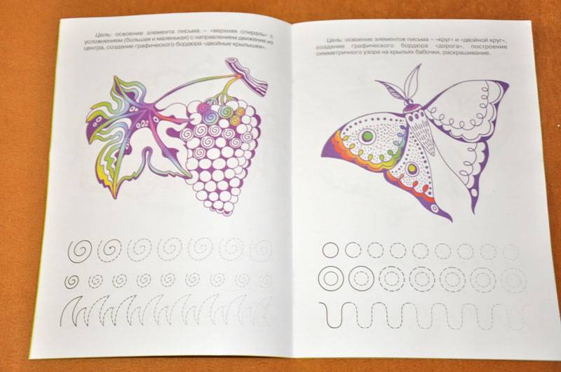 Иллюстрация 5 из 28 для Прописи с крылышками - Ирина Лыкова | Лабиринт - книги. Источник: Виталий