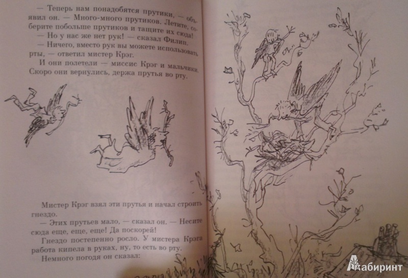 Иллюстрация 16 из 22 для Волшебный палец - Роальд Даль | Лабиринт - книги. Источник: Katty
