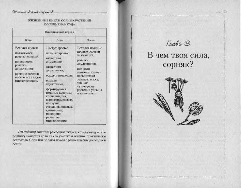 Иллюстрация 5 из 38 для Полезные свойства сорняков - Нелли Кислова | Лабиринт - книги. Источник: enotniydrug