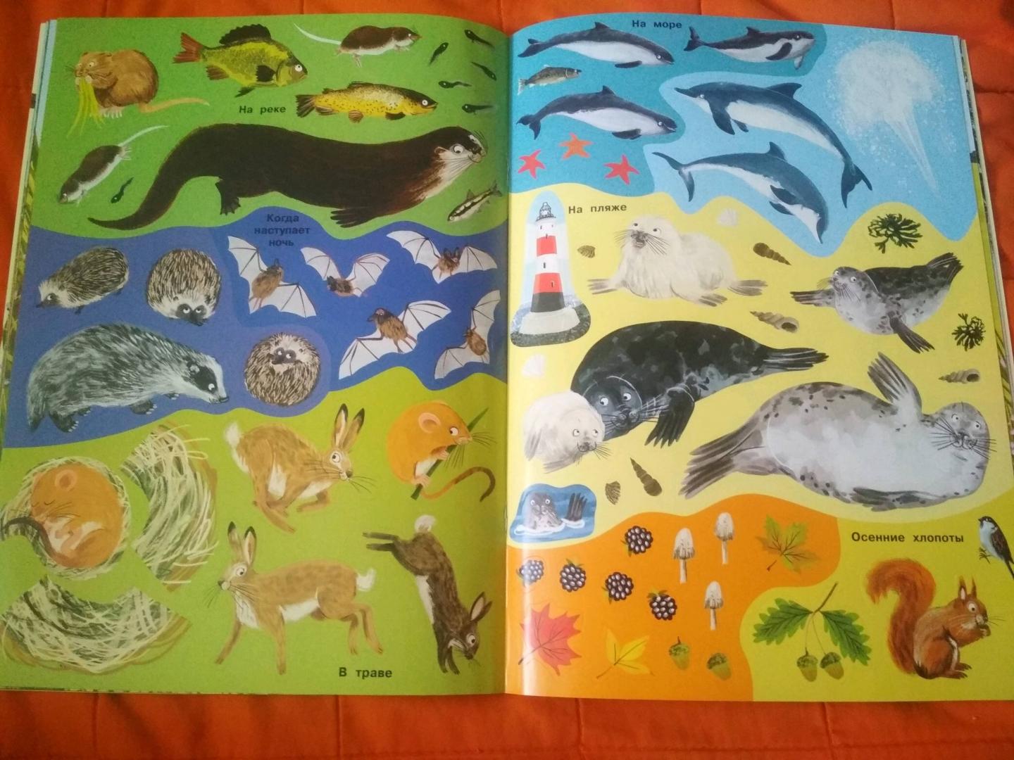 Иллюстрация 36 из 48 для Заяц, ёжик, крот и прочий звериный народ | Лабиринт - книги. Источник: Лабиринт