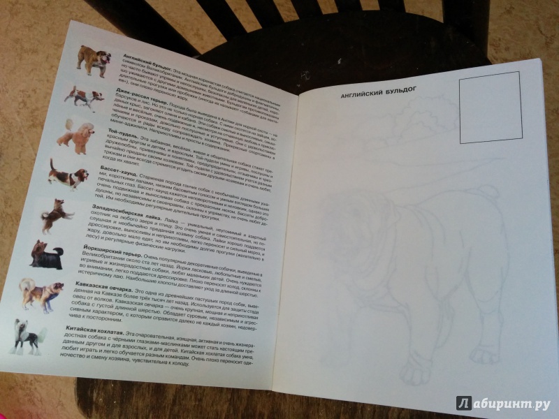 Иллюстрация 4 из 7 для Собаки. Волшебные прозрачные страницы с наклейками - Н. Истомина | Лабиринт - книги. Источник: Gewdron
