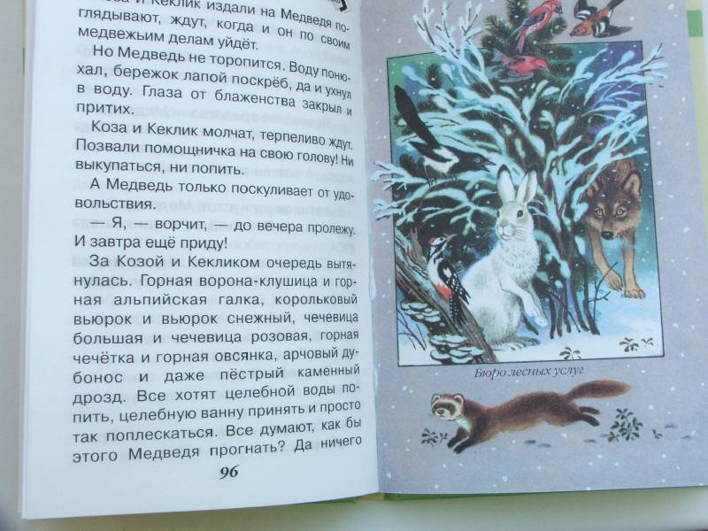 Иллюстрация 4 из 16 для Разговоры животных - Николай Сладков | Лабиринт - книги. Источник: ZAMI