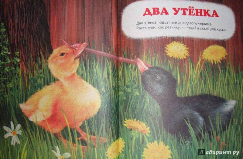Иллюстрация 8 из 22 для Большая птичья книга | Лабиринт - книги. Источник: Половинка  Юля
