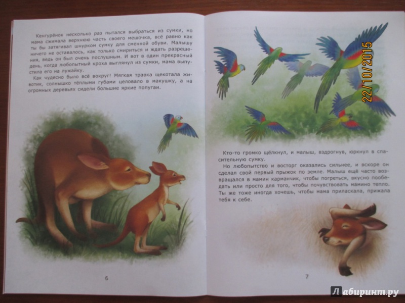 Иллюстрация 18 из 22 для Домик кенгуренка - Лариса Тарасенко | Лабиринт - книги. Источник: Марина Епифанцева
