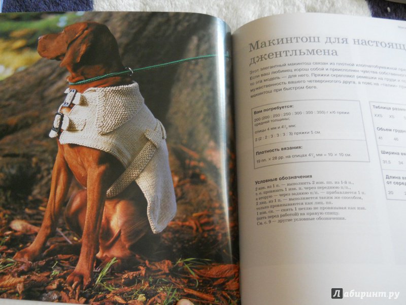 Иллюстрация 13 из 17 для Пальто, кардиганы свитера. Стильная одежда для собак - Анна Тильман | Лабиринт - книги. Источник: kosolapiki
