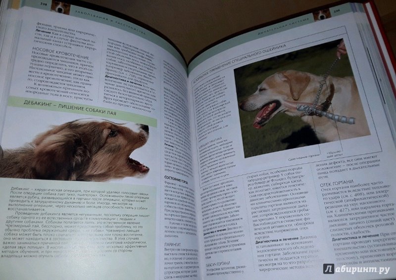 Иллюстрация 3 из 19 для Забота о вашей собаке. Полное руководство по уходу за вашей собакой - Брюс Фогль | Лабиринт - книги. Источник: Космос